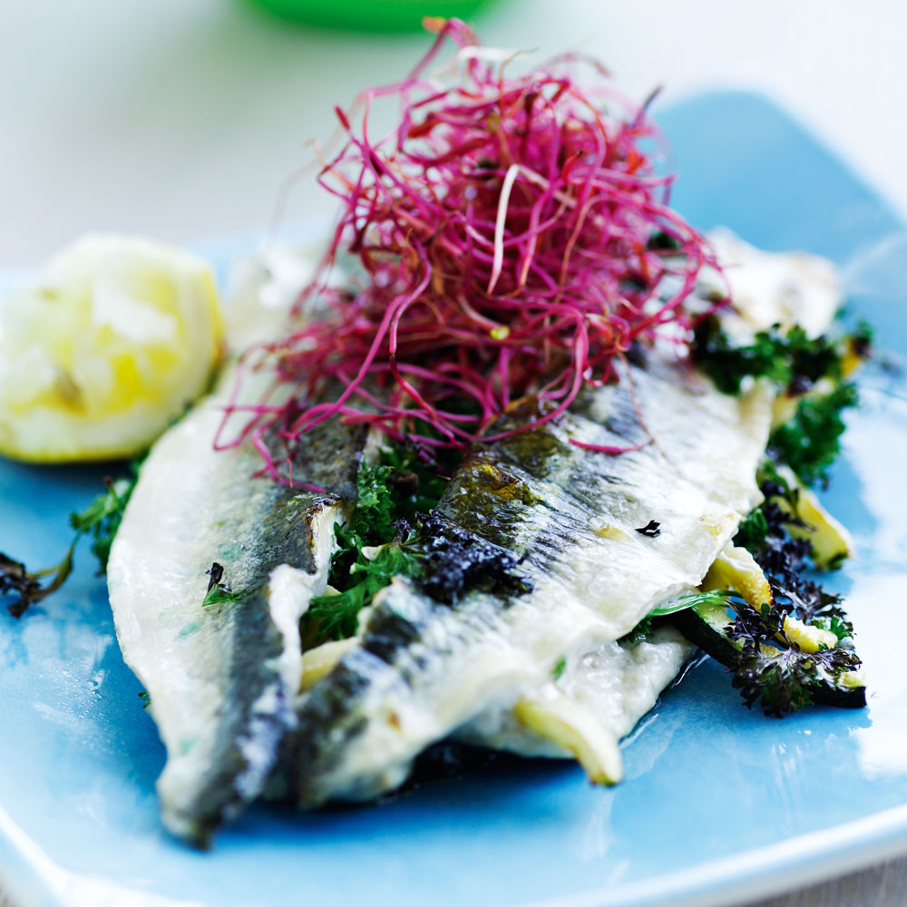 Grillet makrel, sild eller hornfisk