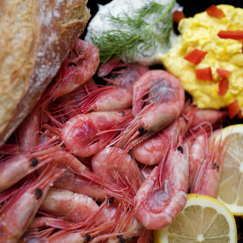 Gourmetrejer - den lette