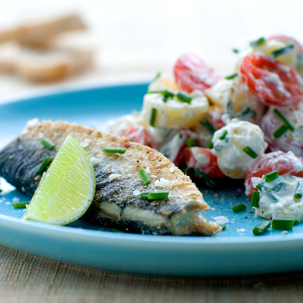 Sild med sommersalat