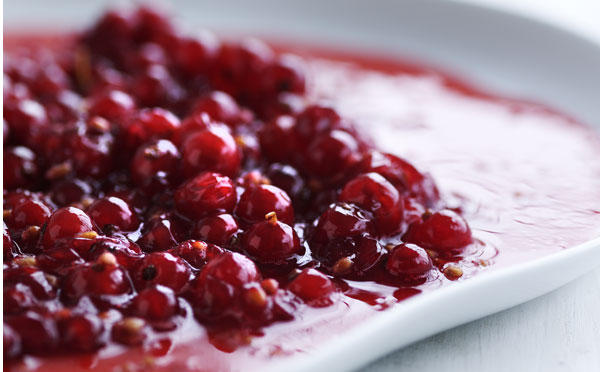 Rysteribs med honning