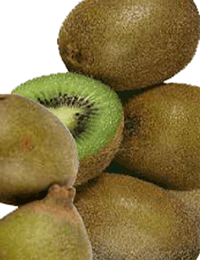 Let dessert med kiwi