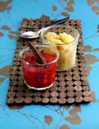 Æblechutney og blommechutney