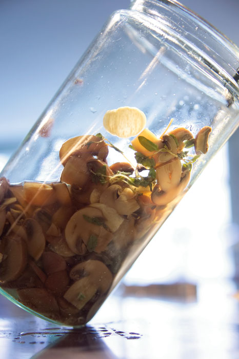 Marsalasyltede svampe