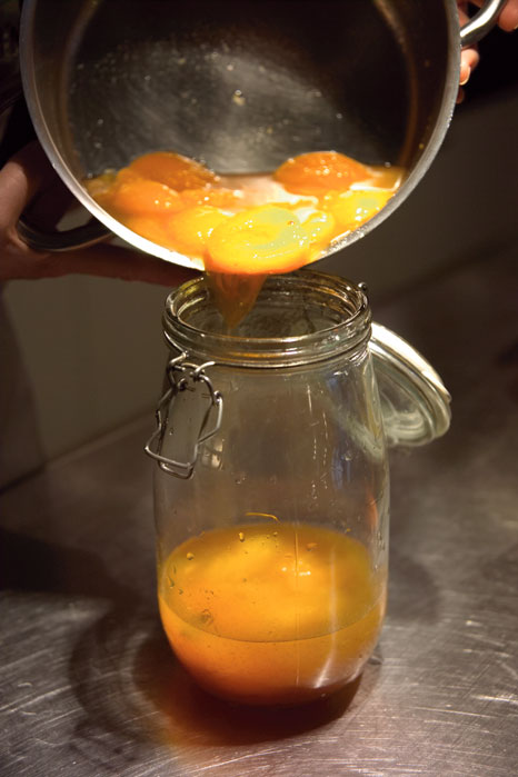 Vanillesyltede abrikoser