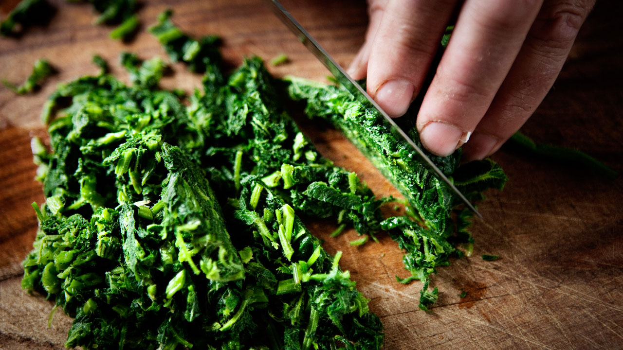 Stuvede brændenælder