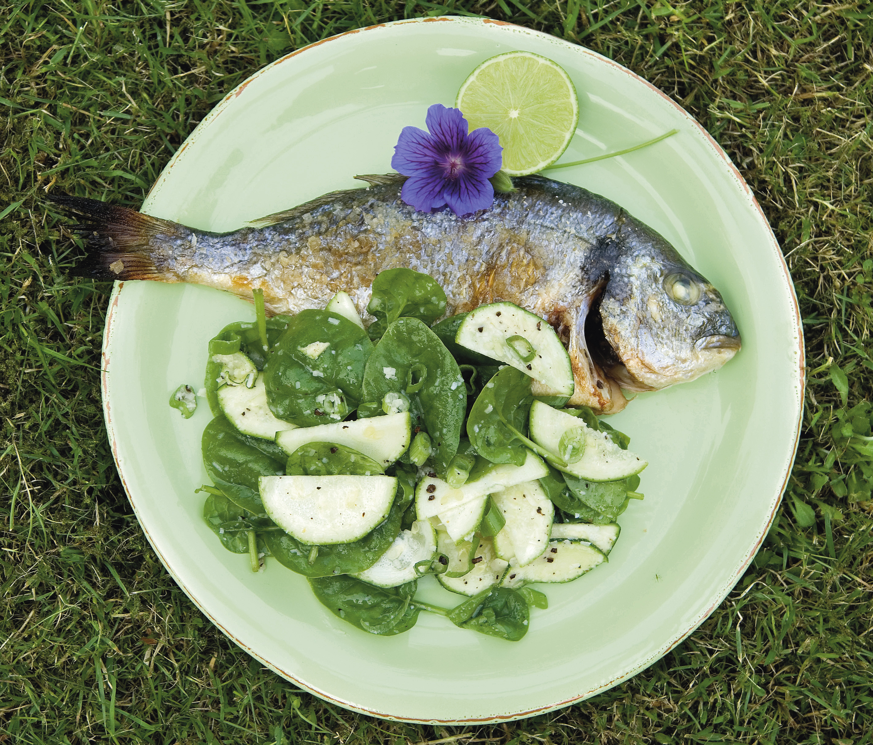 Grillet fisk med kaffekrydret salat