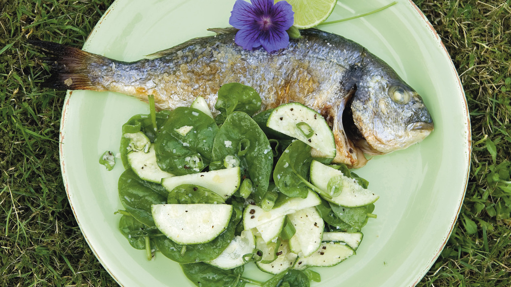Grillet fisk med kaffekrydret salat