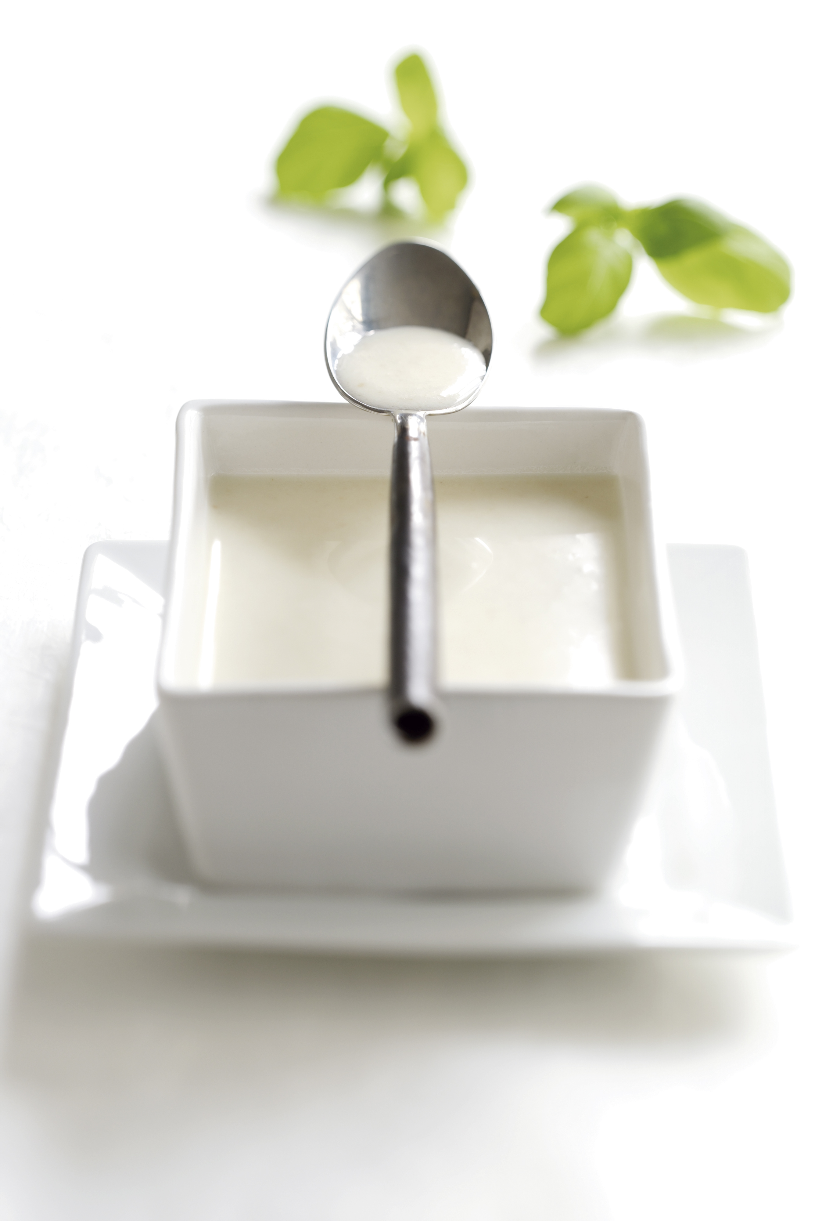 Brød- og hvidløgssuppe