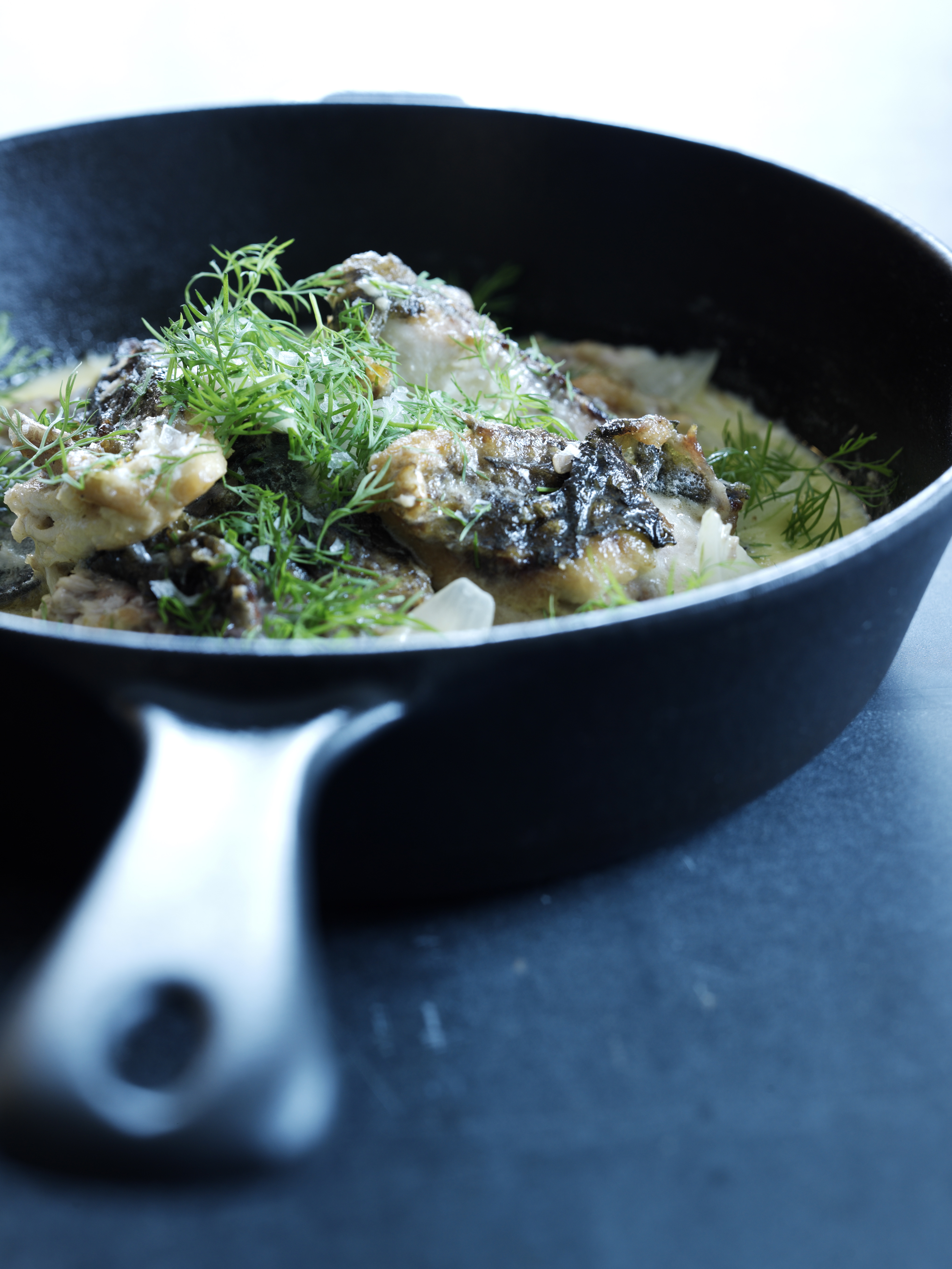 Stegt multe med dild