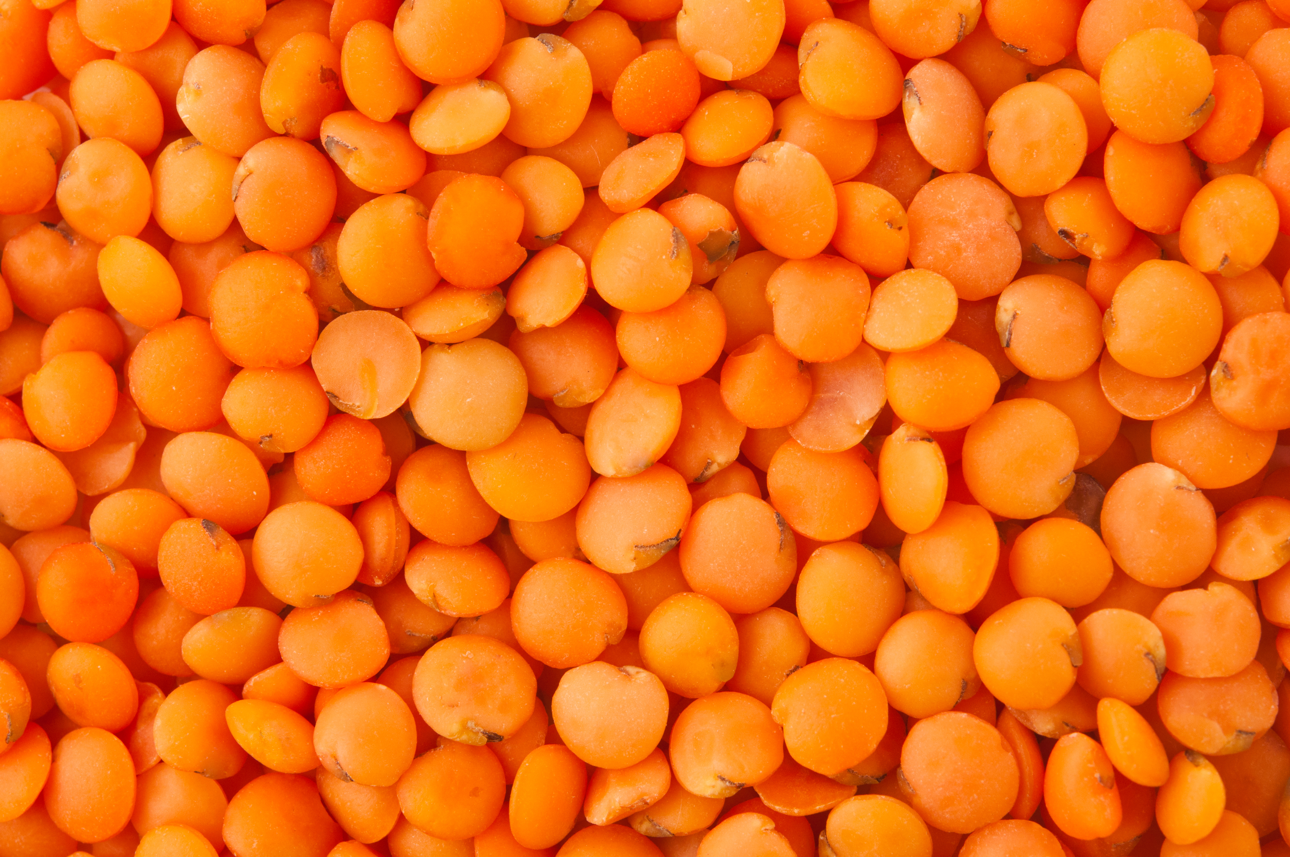 Tyrkisk kød- og linsesuppe