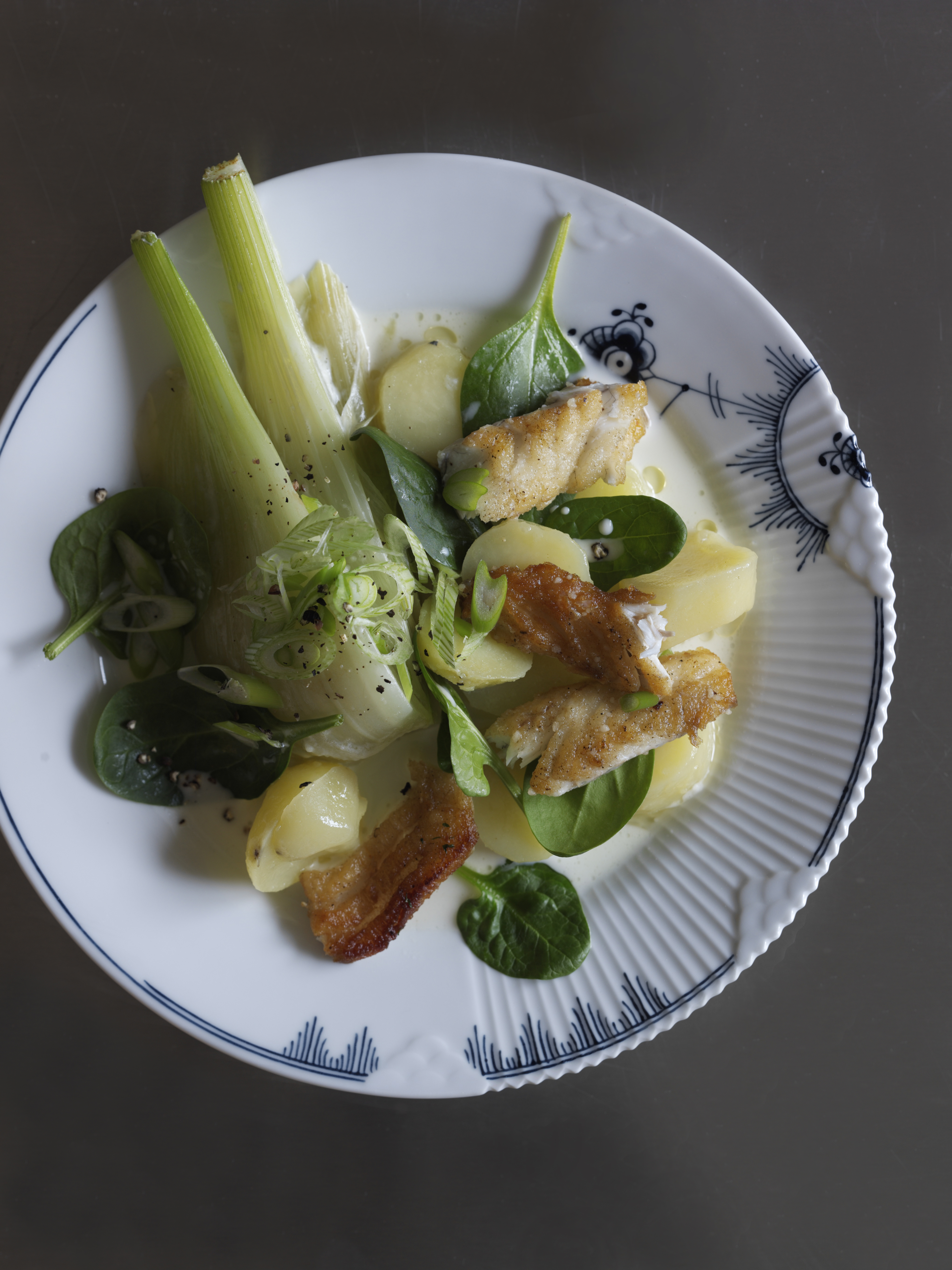 Stegt fisk med flødekogt fennikel