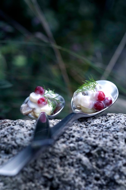 Sild med ribs og peberrod