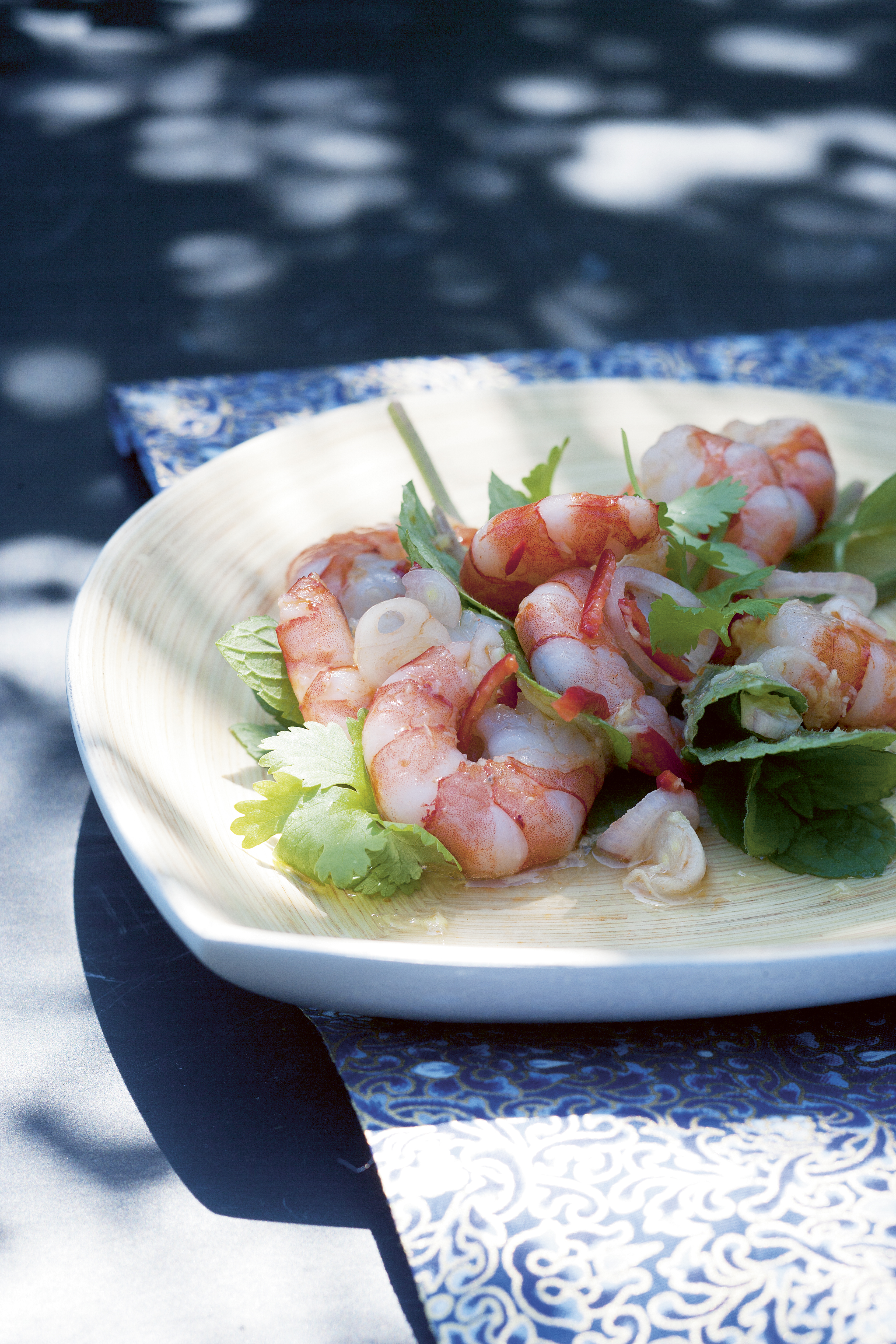 Tigerrejer med limedressing