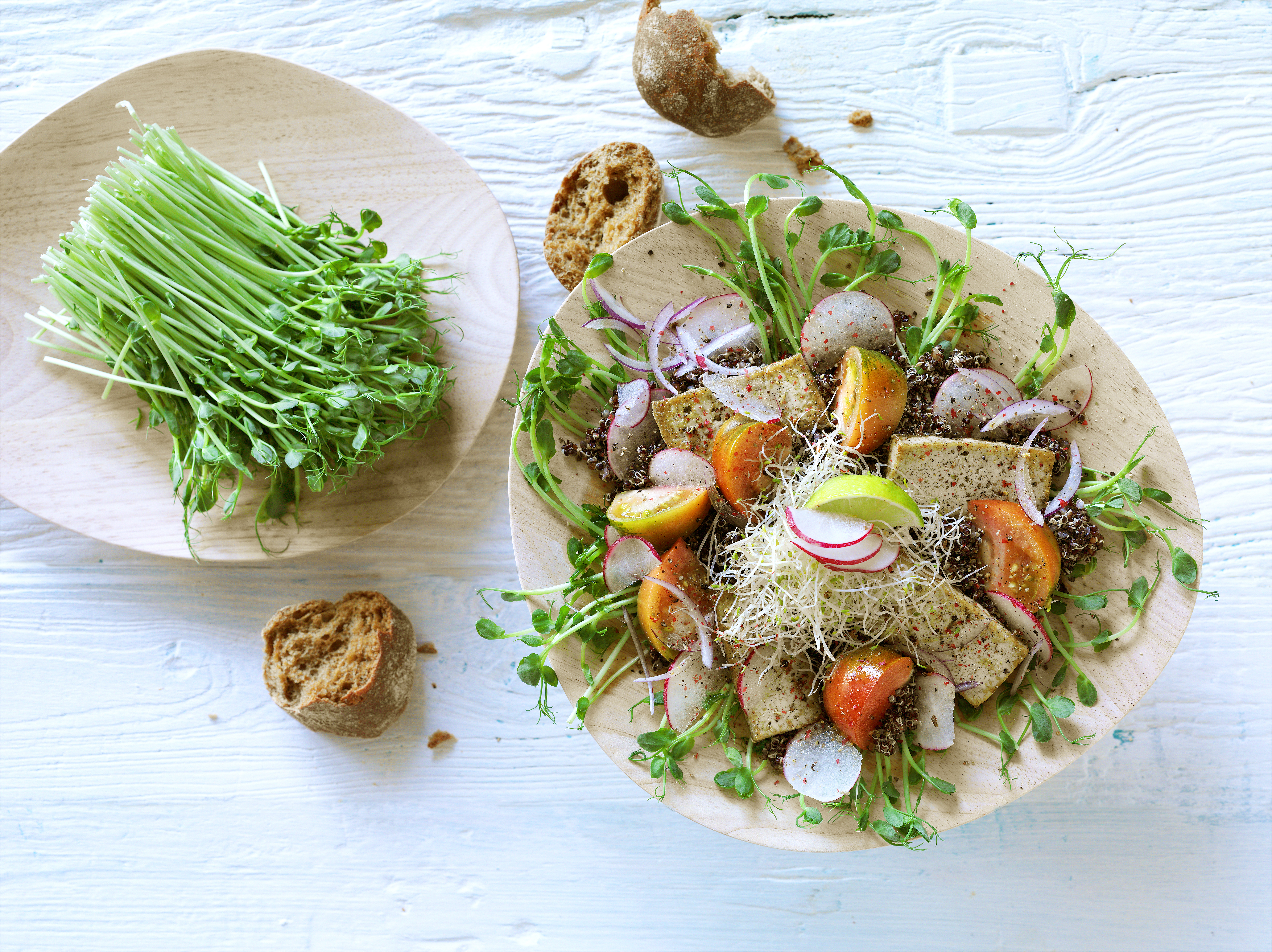 Spiresalat med stegt tofu
