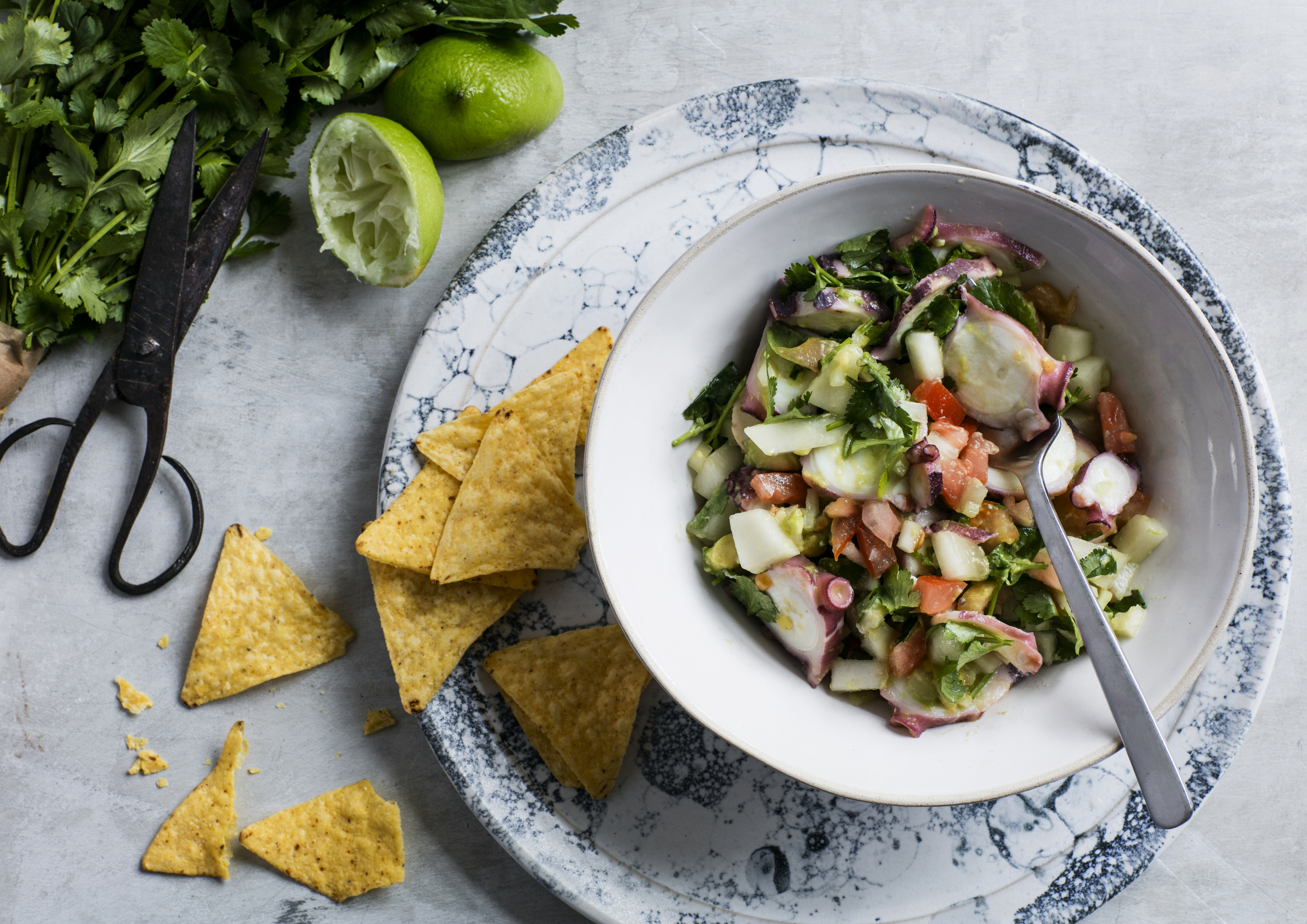 Ceviche med blæksprutte & melon