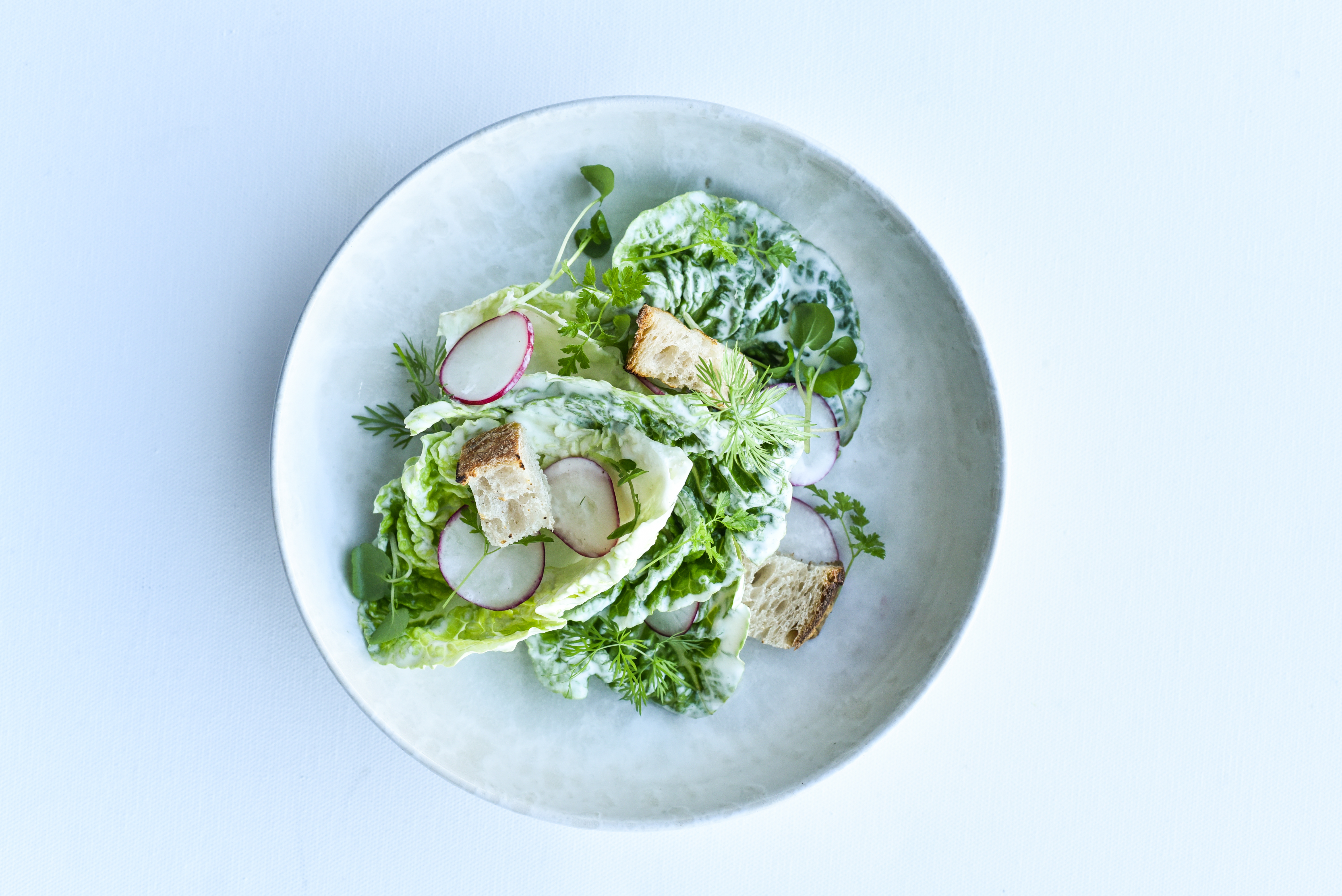 Let forårssalat - med urter, sprøde croutoner og flødedressing