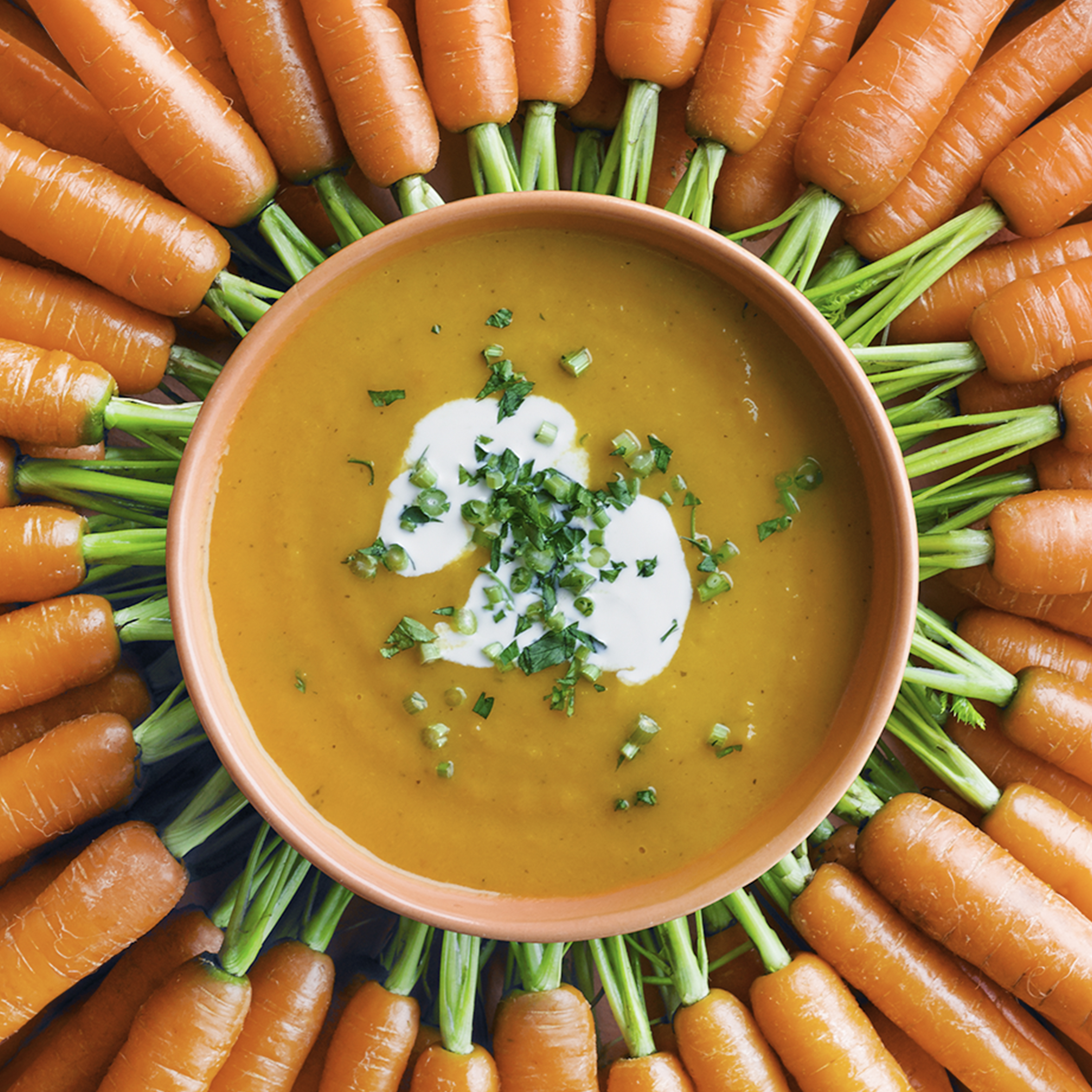 Gulerodssuppe med masser af smag