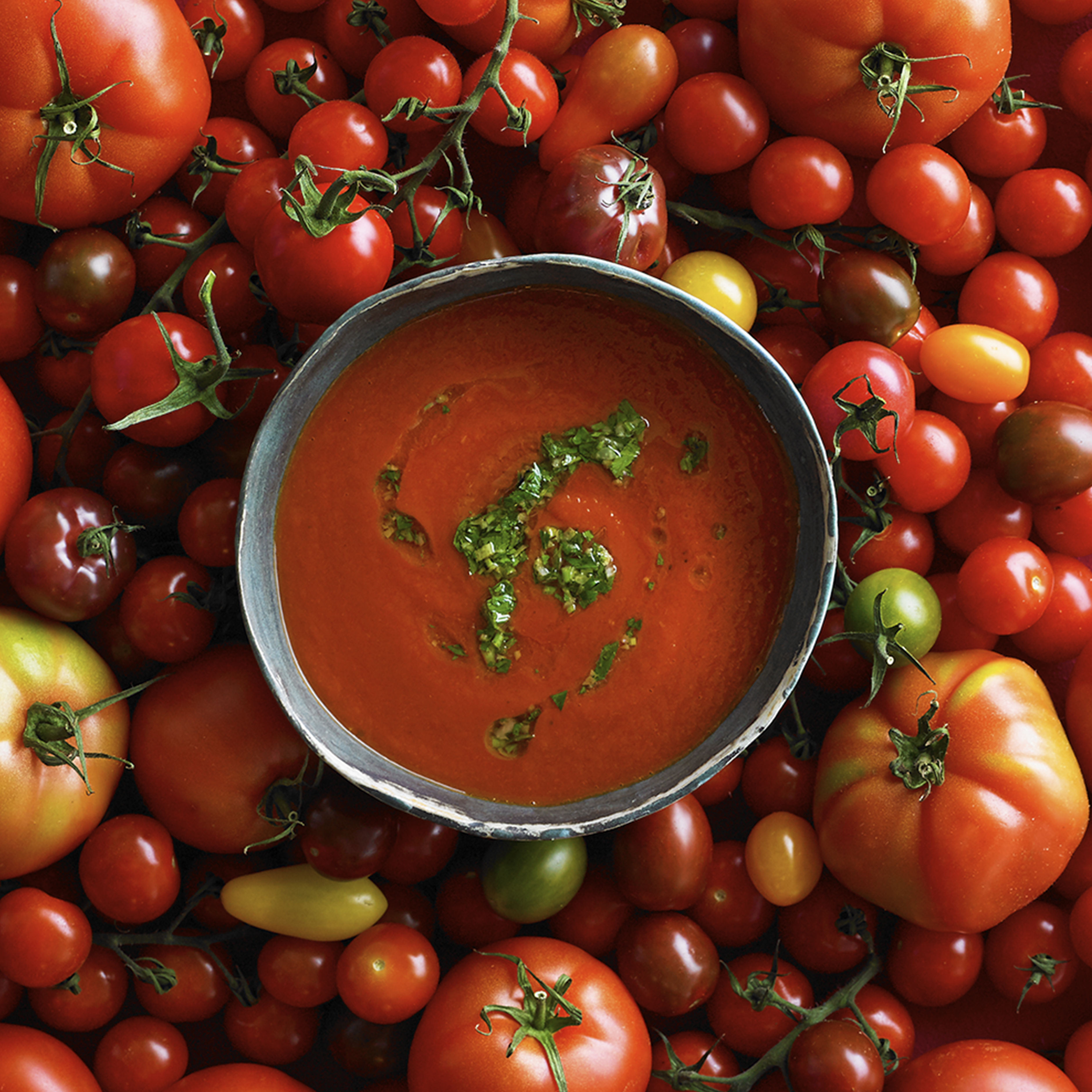 Tomatsuppe på friske tomater med gremolata