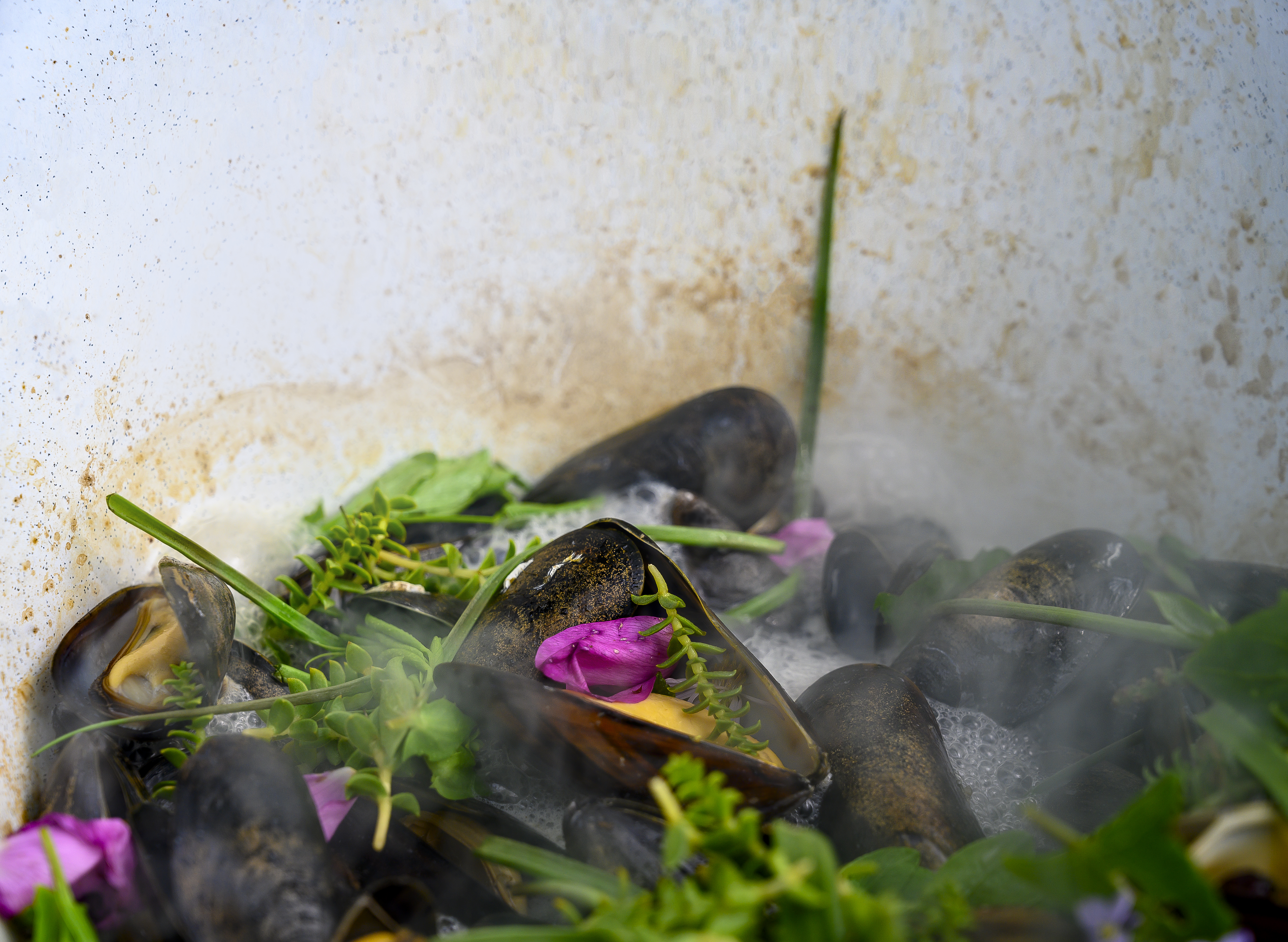 Muslinger og strandurter