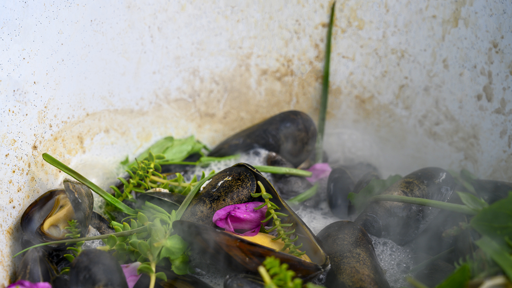 Muslinger og strandurter