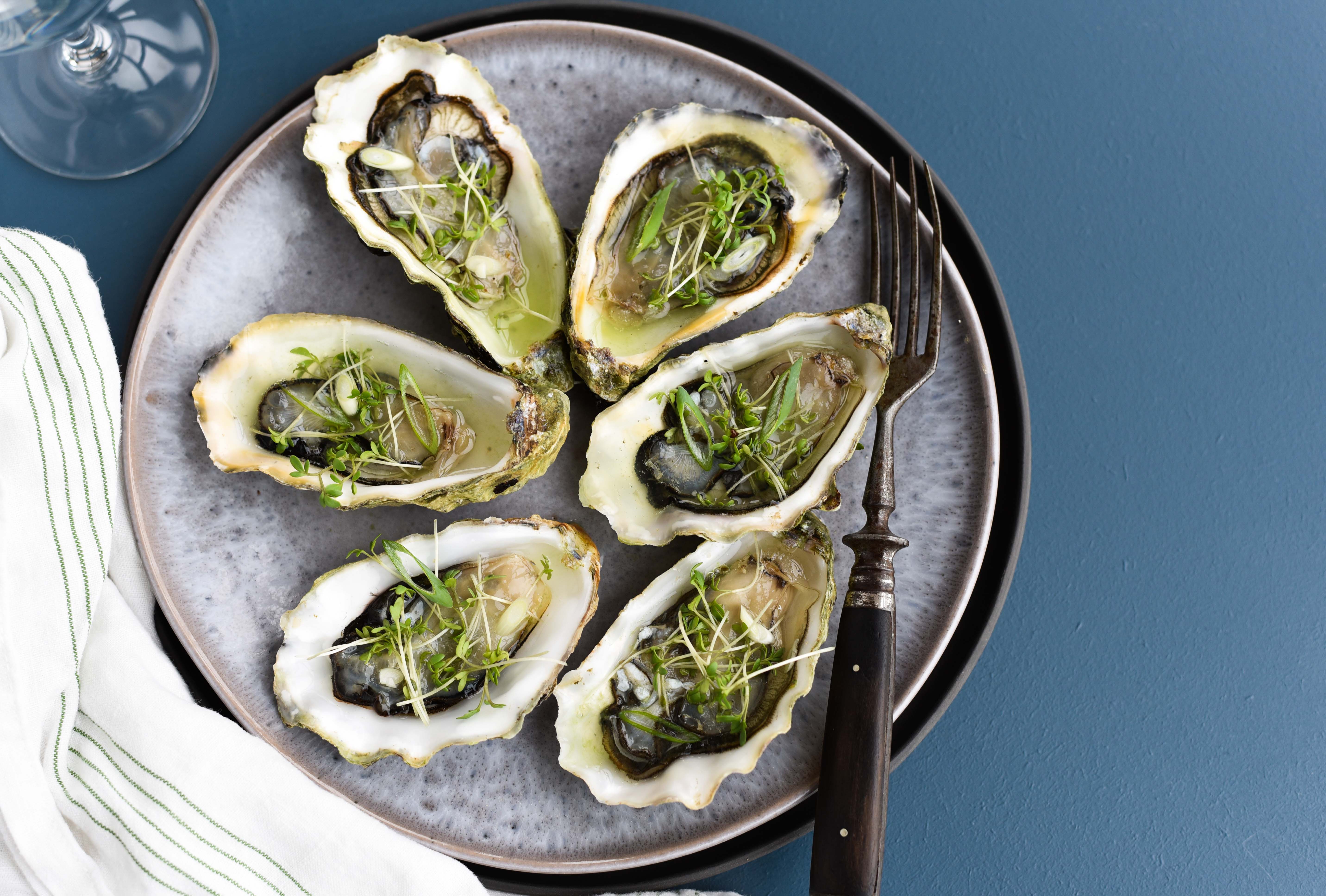 Friske østers med agurkedressing og karse