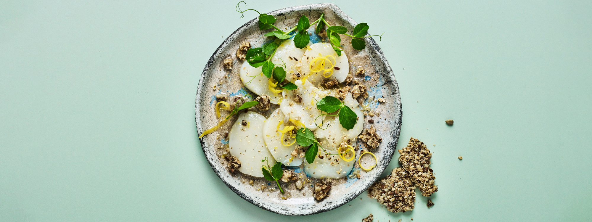 Ceviche med kammusling