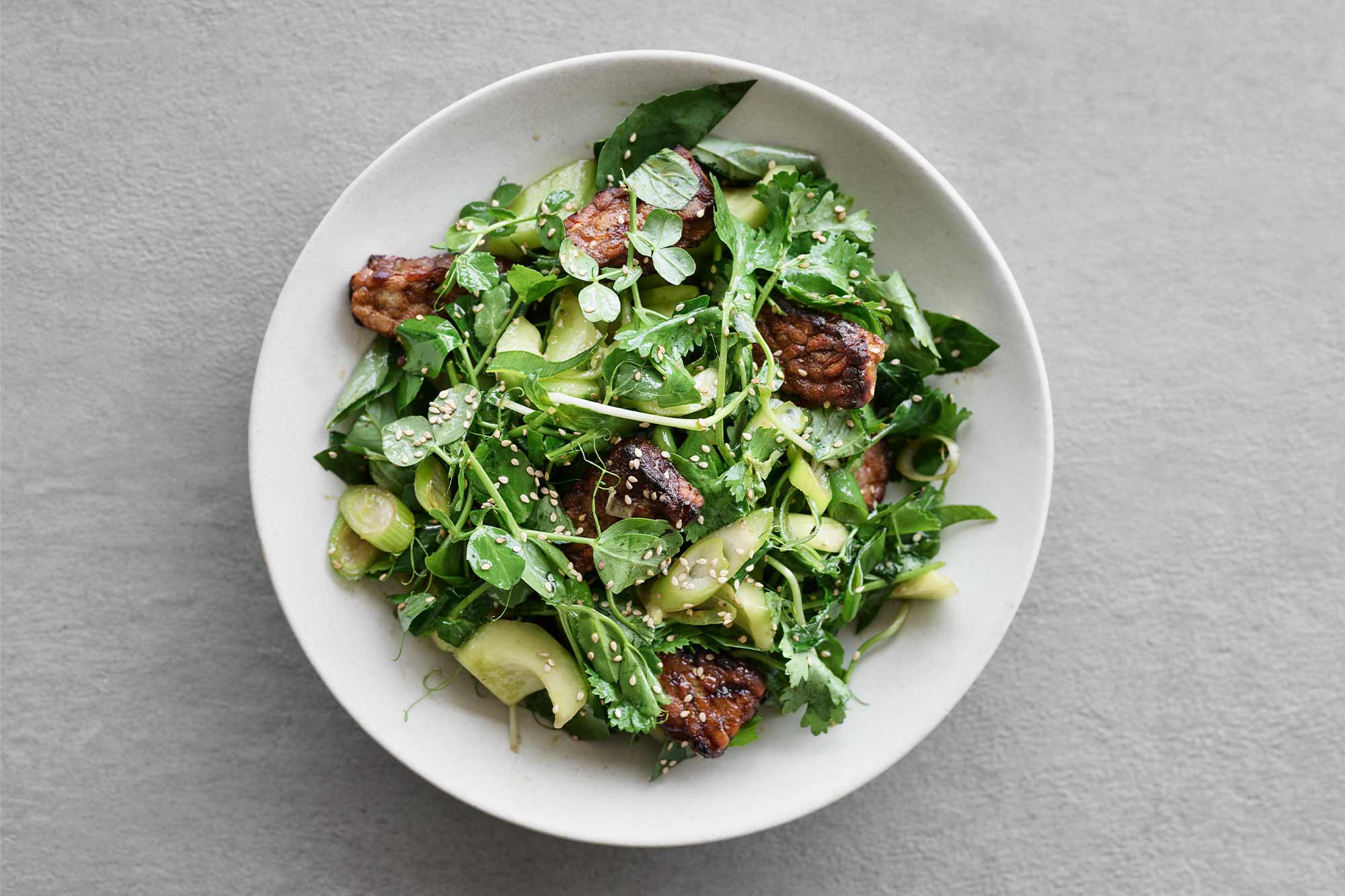 Thai tempeh-salat med agurk,  forårsløg, spirer og urter