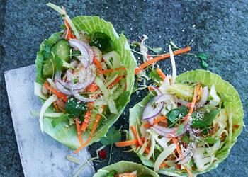 Asiatisk kalkunsalat med kål, urter, chili/lime-dressing og ristet ris