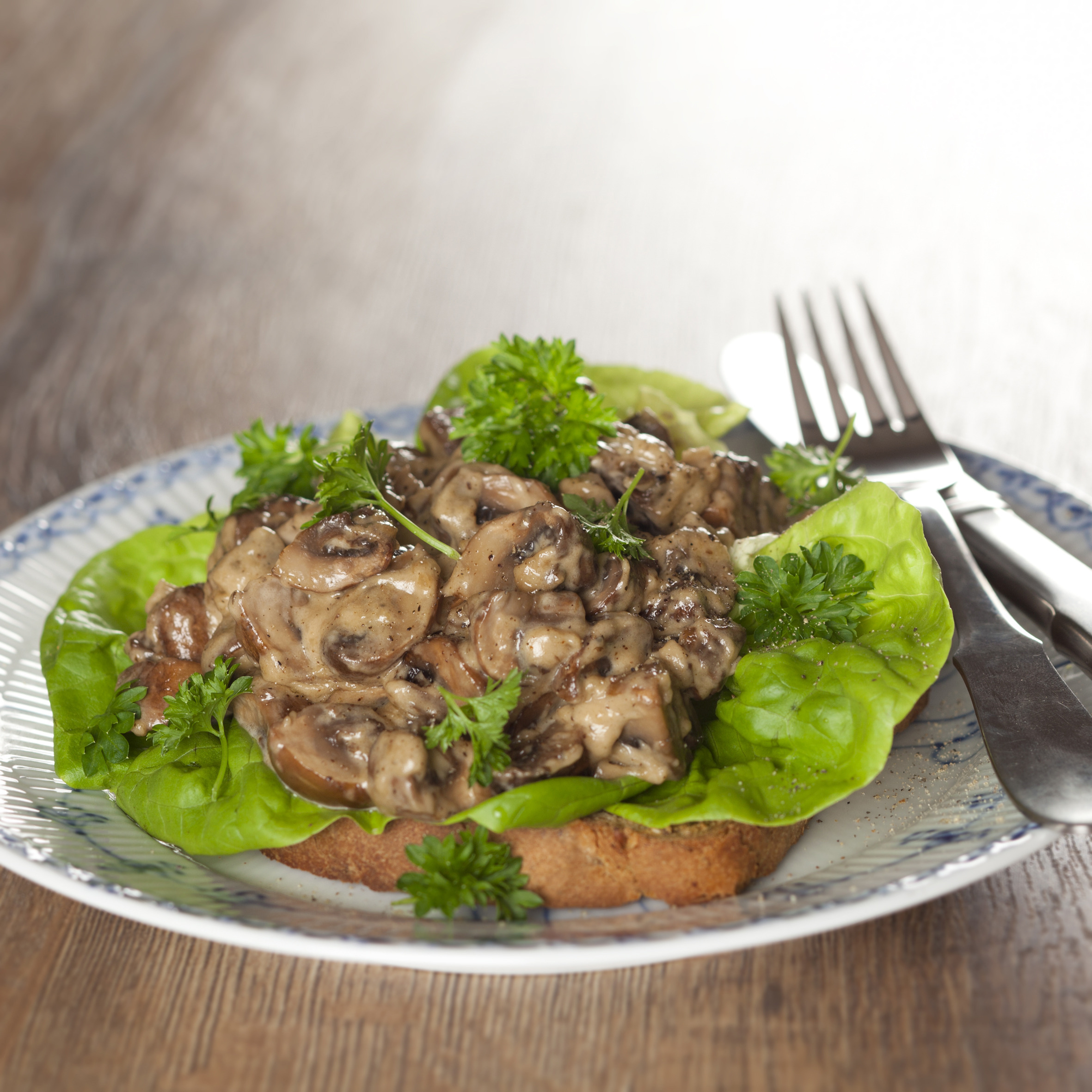 Champignon a la creme