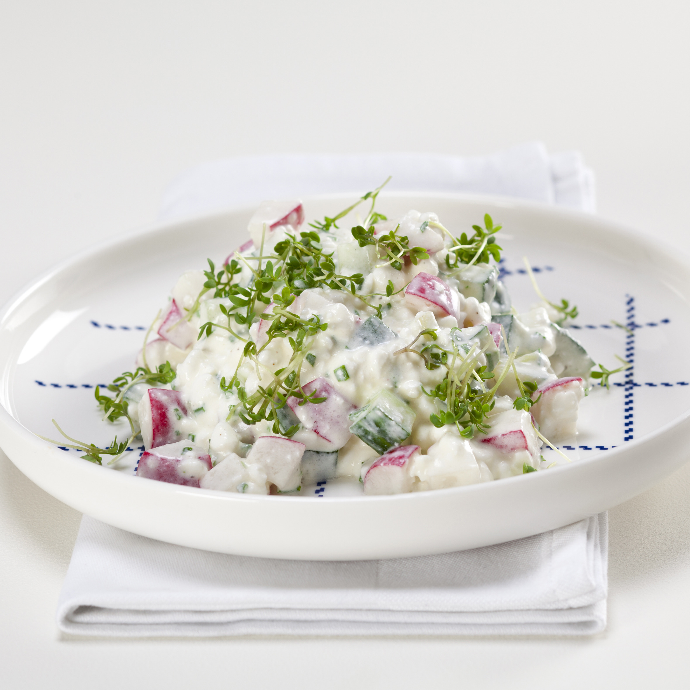 Hytteostsalat med agurk, radiser og karse