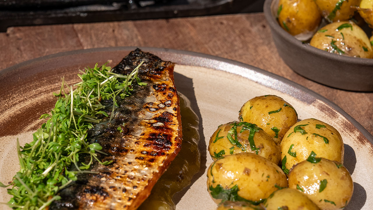Makrel med stikkelsbærkompot og nye kartofler med løvstikke