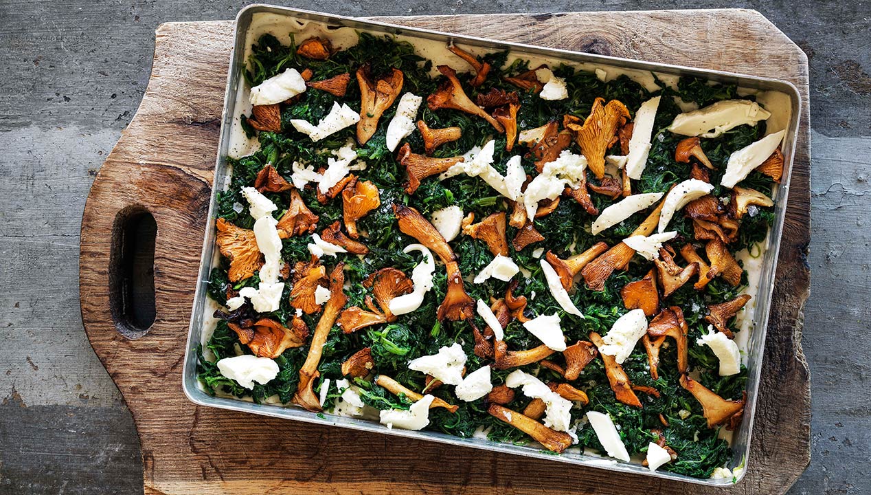 Lasagne med kantareller og spinat