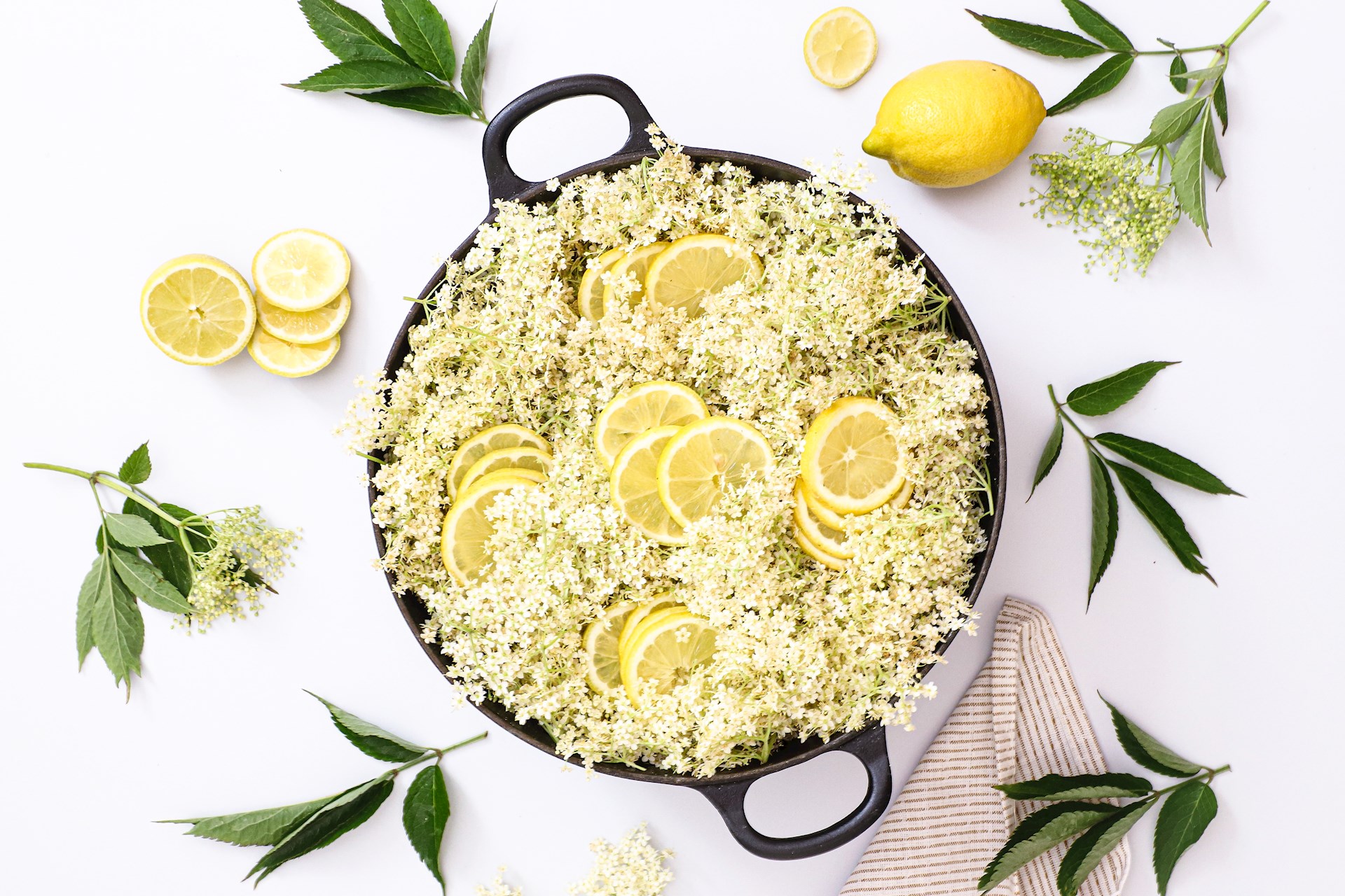 Frisk hyldeblomstsaft