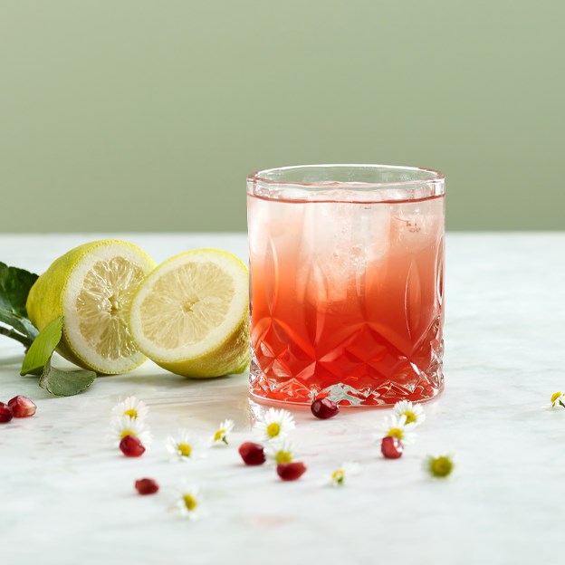 Gin Daisy God og lækker Se opskriften her