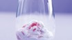 Syllabub med rabarber i cider - thumbnail