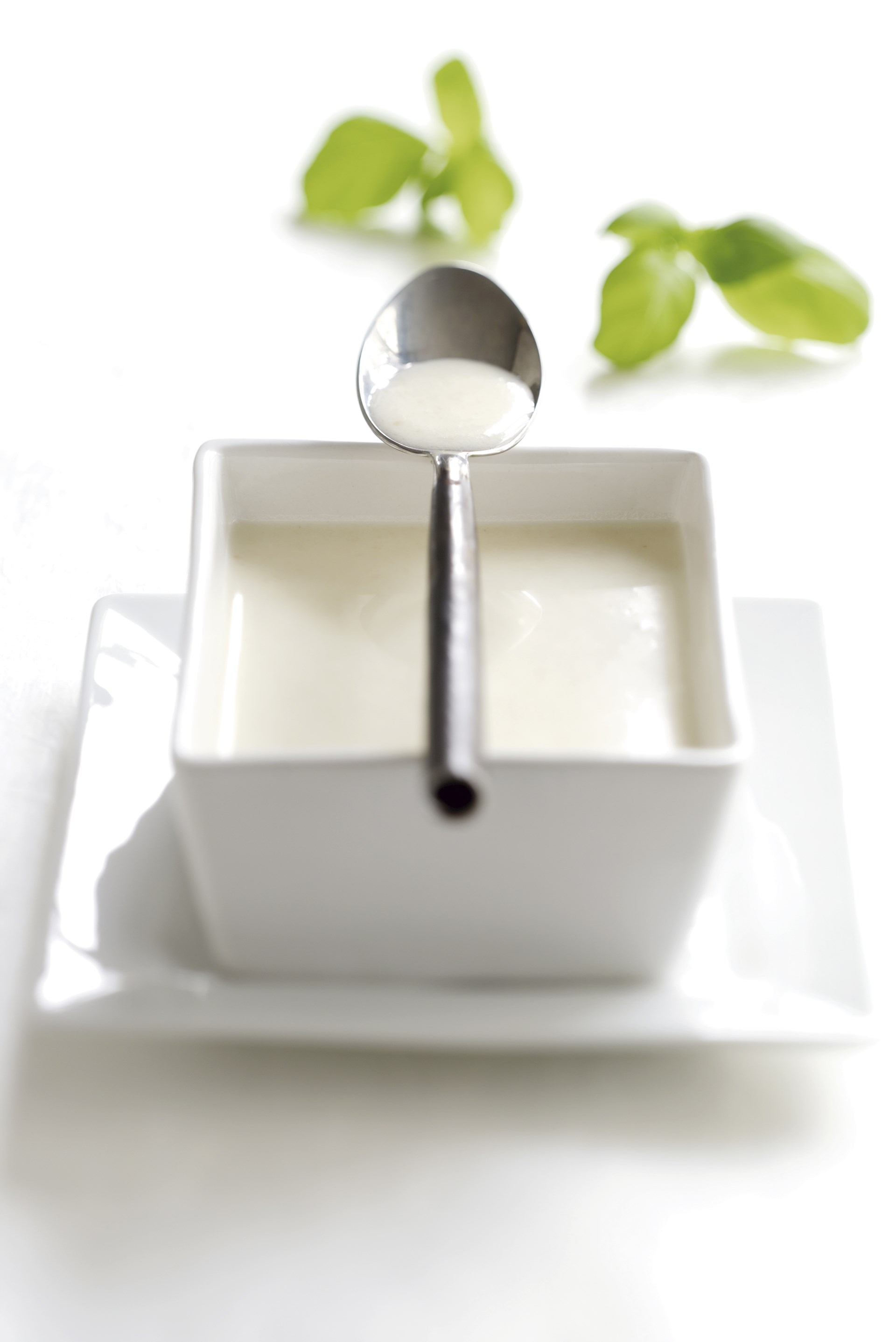 Brød- og hvidløgssuppe