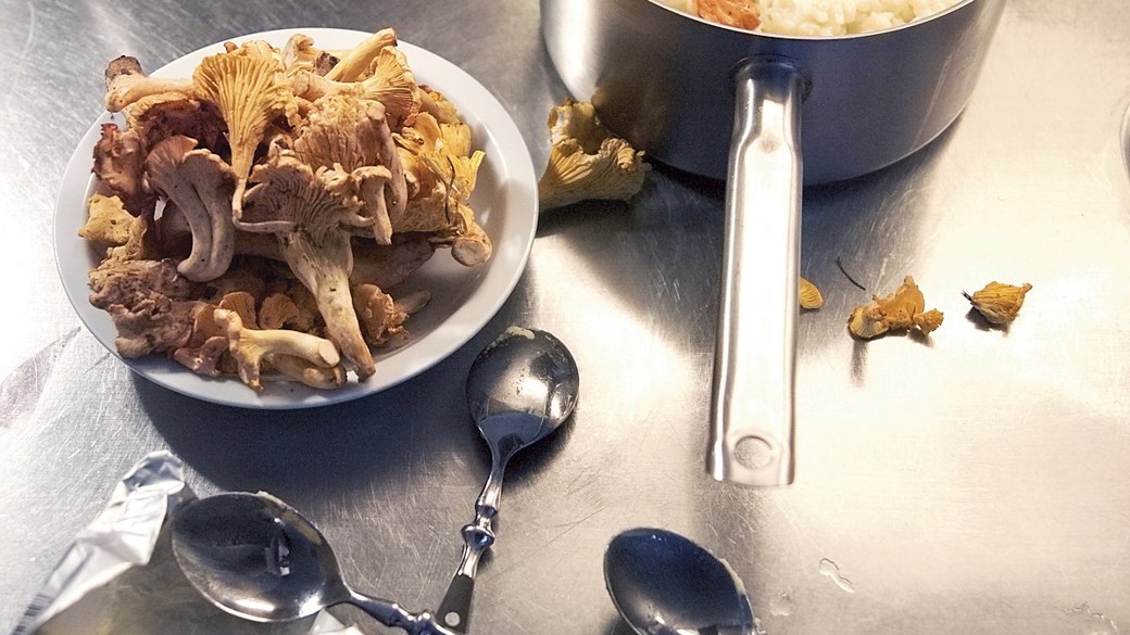 Risotto med grønkål og svampe