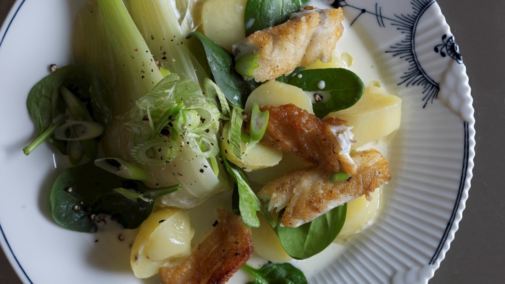 Stegt fisk med flødekogt fennikel