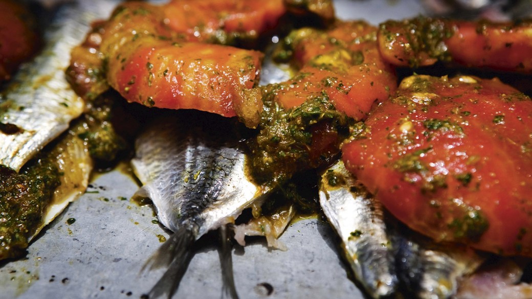 Sardiner med chermoula
