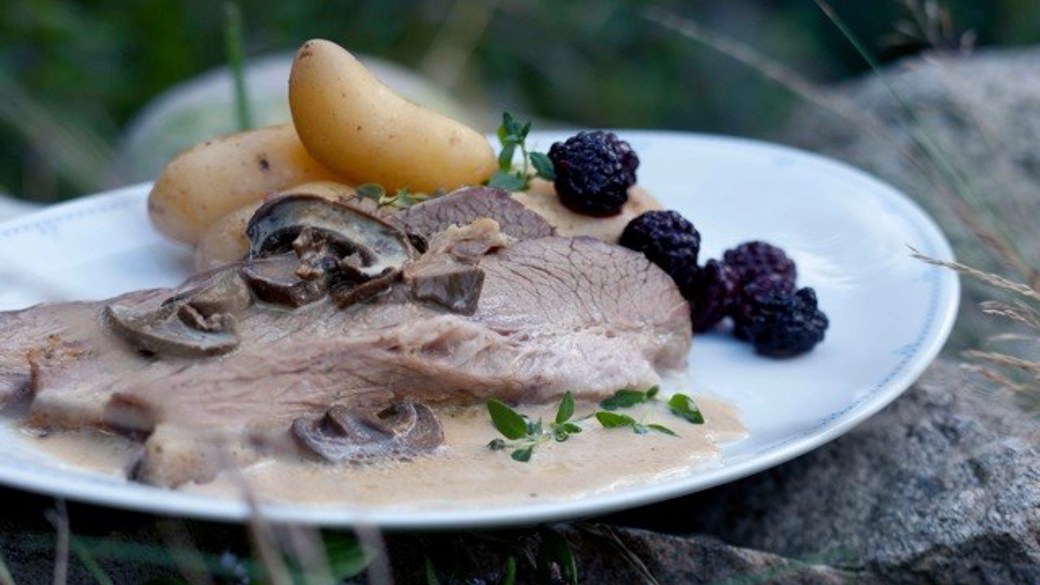 Letsaltet kalvespidsbryst med svampesauce og lune syltede brombær