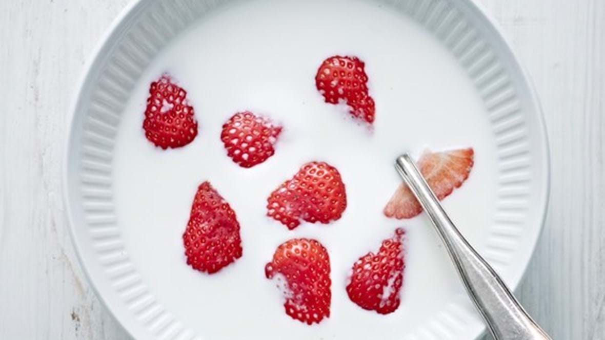 Nye danske jordbær med mælk 