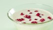 Melonsuppe med granatæble - thumbnail