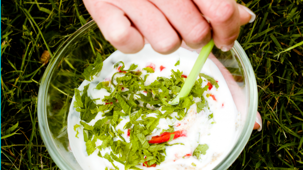 Til grillen: Yoghurtmarinade