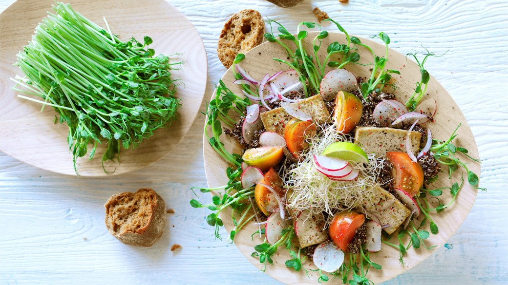 Spiresalat med stegt tofu