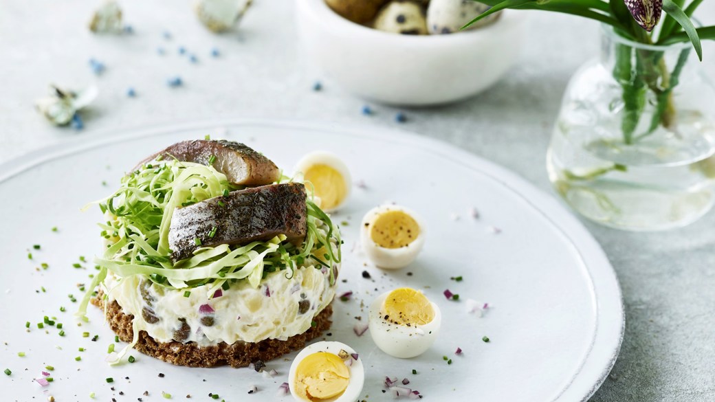 Kartoffelsalat med matjessild og vagtelæg