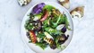 Salat med grillet æble og gedeostebrød - thumbnail