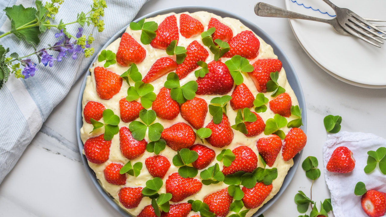 Jordbærkage med skovsyre